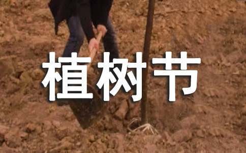 如何在篮球冬令营中加强体能训练?_2